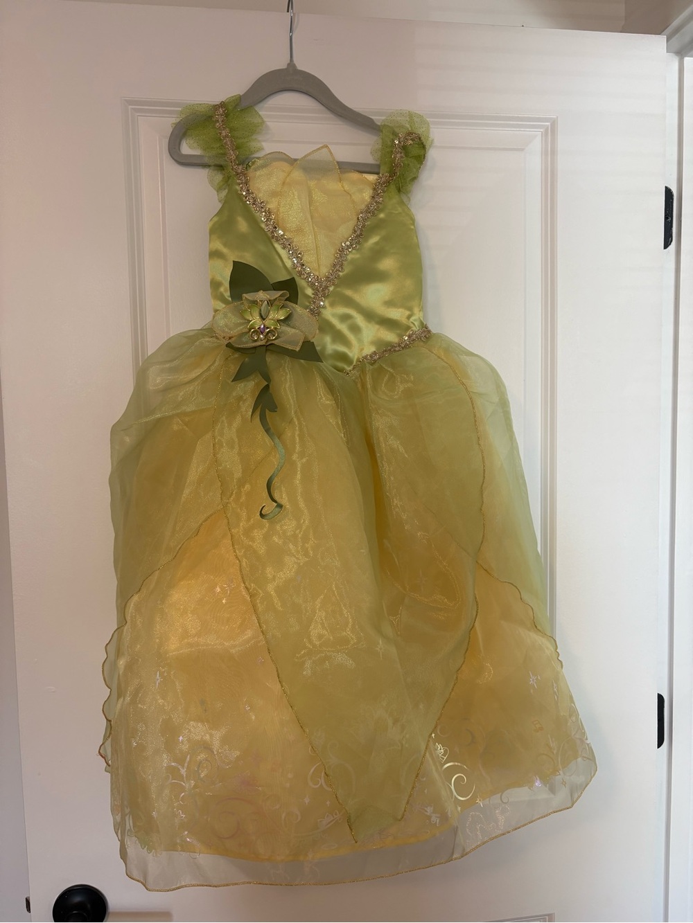 Disney Tiana Yellow Green Princess Costume Dress